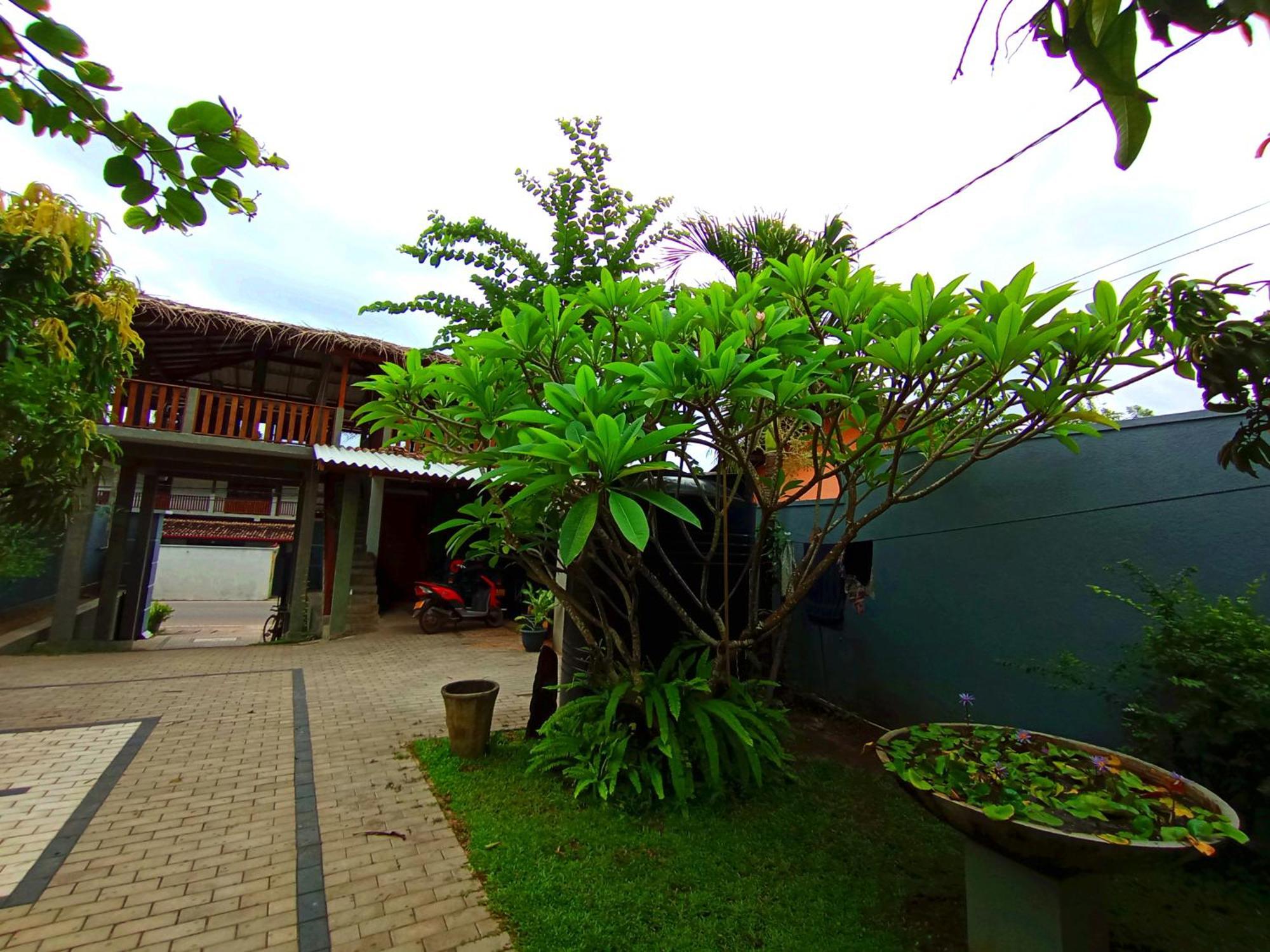Lavender Mirissa Hotel Exterior photo