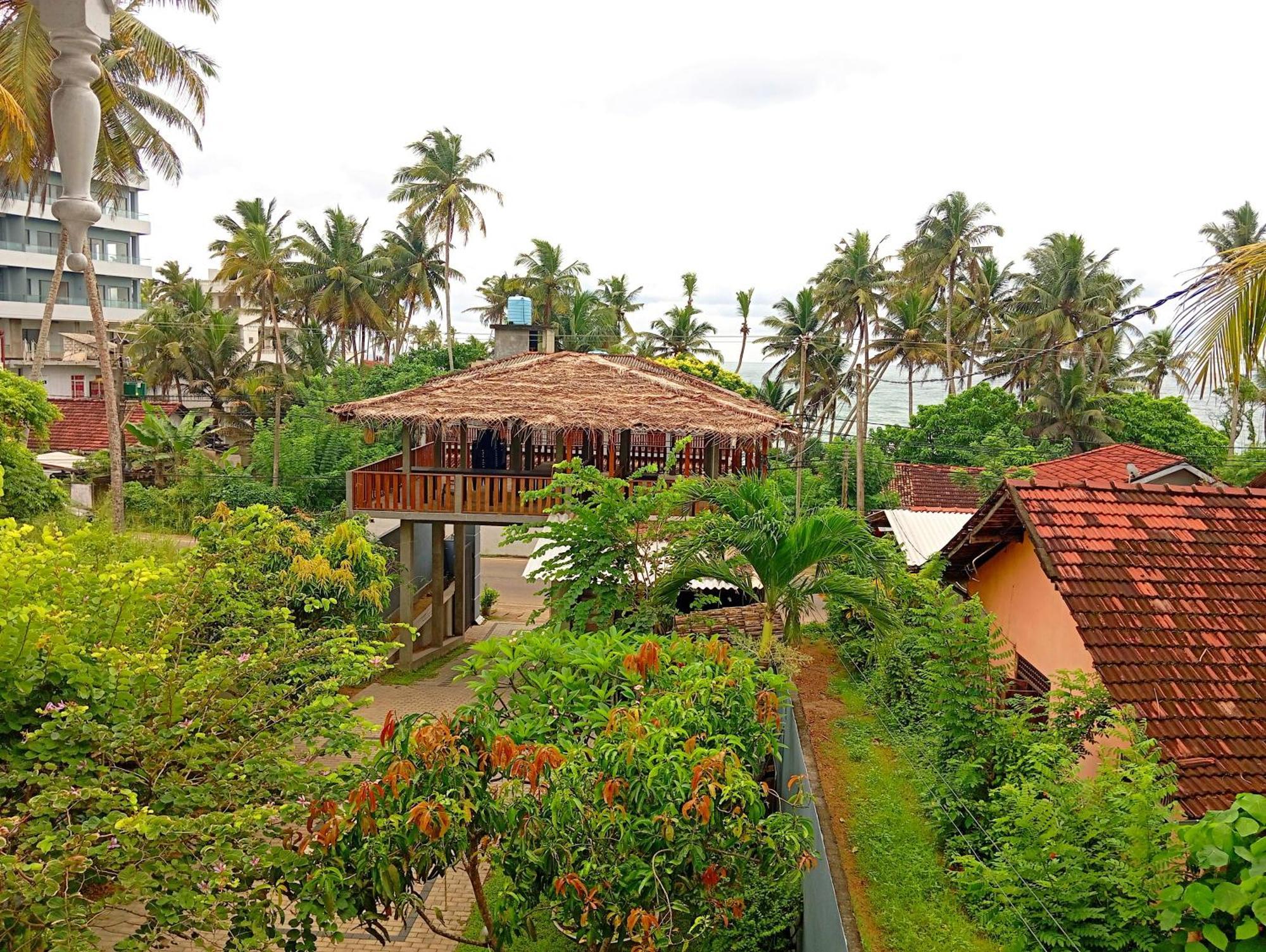 Lavender Mirissa Hotel Exterior photo