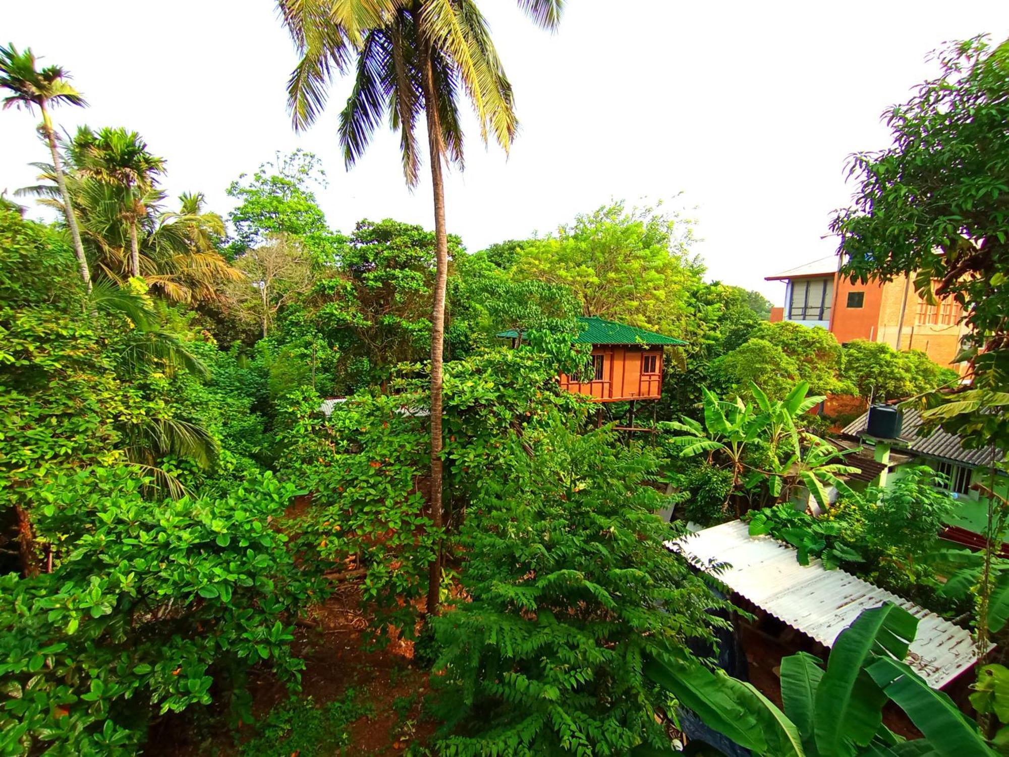 Lavender Mirissa Hotel Exterior photo